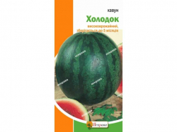 ����� ������� (20 �����) 2� ���������