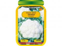   ϳ (25 )  80 . SEDOS