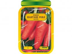 ������ ������� ���� (25 �����) ������������ 2� ��SEDOS