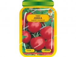 ����� ������������ ���� (25 �����) ������������ 60-90 ���. ��SEDOS