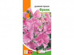 ������� �������� ����� ������� (20 �����) 1� ���������