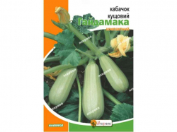 ������� ������� ��������� ���� (10 �����) 20� ���������