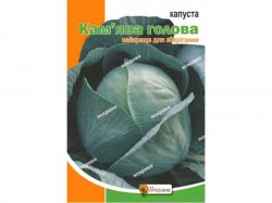 ������� ���������� ������ ������ ���� (10 �����) 5� ���������