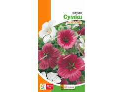 ������ ���� (20 �����) 1� ���������