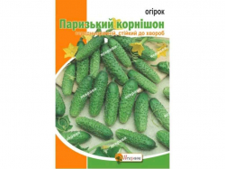 ����� ��������� �������� ���� (10 �����) 5� ���������