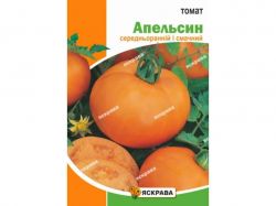 ����� �������������� �������� ���� (10 �����) 2� ���������