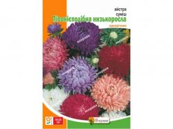 ������ ϳ����������� ������ ���� ���� (10 �����) 3� ���������