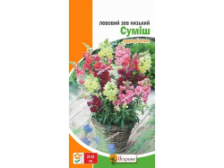 ������� �� ������� ���� (20 �����) 0,2� ���������