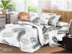    2-  70*70 .301  CONSTANCY