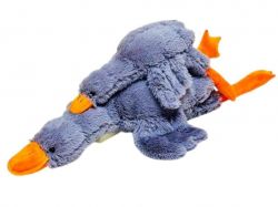 ���� ������� ���� ������ 63�� ���� (�) ����� ����