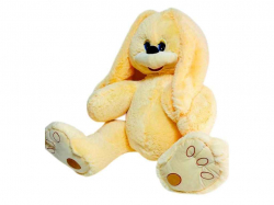 ���� ������� ����� Ѻ�� 40�� ������ (�) ����� ����