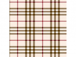 �������� �� ��������� ����� 1,35� � 25� DP081B ��DARIANA