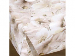  Baby face    1,4  20  5654F STENSON