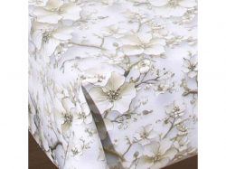  Baby face    1,4  20  5656 STENSON