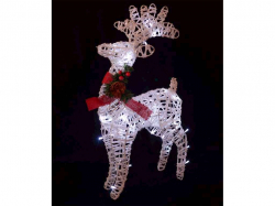 Գ����� ���� 40�� �����-2 �������