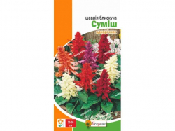 ����� ������ �������� ���� (20 �����) 0,2� ���������