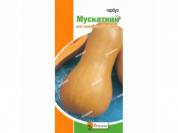 ������ ��������� (25 �����) ��������� 5 ���. ���������