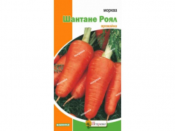 ������ ������� ���� (25 �����) ��������� 2� ���������