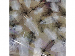 �������� ���� ���� 0,8� � 20� � ������������� �������� Laser 0,6�� 5940-60 ��STENSON