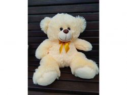 ���� ������� �������� ���� 50�� ������ ���������