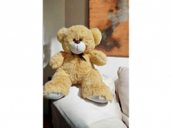 ���� ������� �������� ���� 50�� ��� ���������