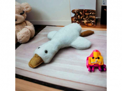 ���� ������� ����� 50�� ���� ���������