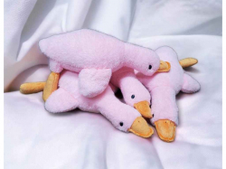 ���� ������� ����� 50�� ������� ���������