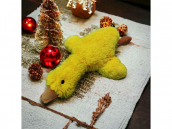 ���� ������� ����� 50�� ������ ���������