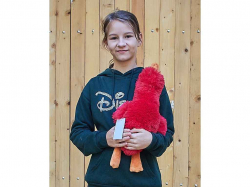 ���� ������� ����� 50�� �������� ���������