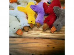 ���� ������� ����� 50�� �������� ���������