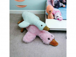 ���� ������� ����� 70�� ������� ���������