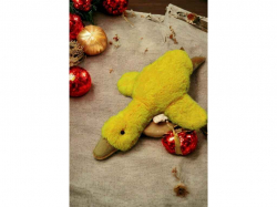 ���� ������� ����� 70�� ������ ���������