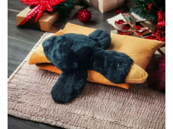 ���� ������� ����� 70�� ������ ���������