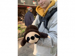 ���� ������� ˳������ 45�� ���������