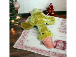 ���� ������� ����� 110�� ����� ���������