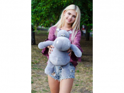 ���� ������� ��������� ���� 55�� ���� ���������