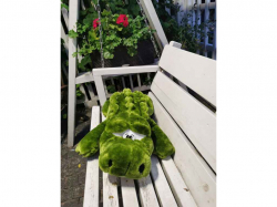 ���� ������� �������� 85�� ����� ���������