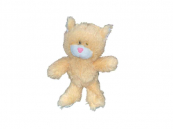 ���� ������� ����� ������� 40�� ��� ���������