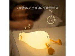 ͳ���� ��������� �������� ������ (�������� �� ��������) �������