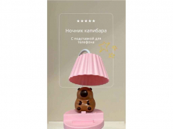 C�������� ����i����� LED 5W ��� � ���������� ������� � ��������� ��� ��������,� USB �������