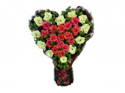 ³��� ���������� ������� 92�77�� �������-������� ��Memori