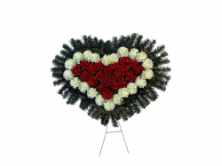 ³��� ���������� ���������� 100�75�� ���-�������� ��Memori