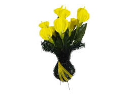 ���� � ������ ������ h-60�� ������ ��Memori