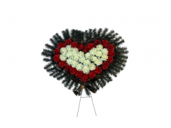 ³��� ���������� ���������� 100�75�� �������-���� ��Memori