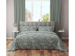 �������� �������� ������ 1,5-� �� �����������, ���.50*70 - 1�� Tony ��������� ��DAISY