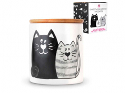 ������� ��� ������� �������� 685�� � ���������� ������� ������� 6027-19 ��SNT