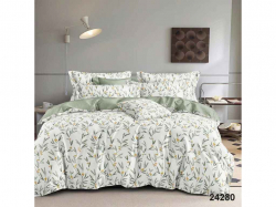 �������� �������� ������ 1,5-� �� 50*70 ���.24280 ������� ��VILUTA