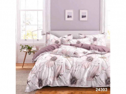 �������� �������� ������ 1,5-� �� 50*70 ���.24303 ������� ��VILUTA