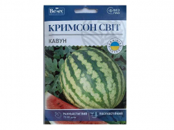 ����� ������� ��� 5� ���Ѳ (10 �����) �������