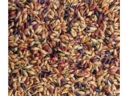 ������� (� ����) ����������� 20�� ���������